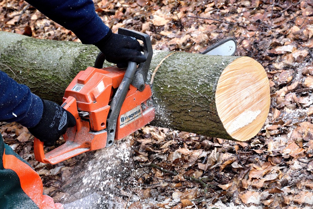A lumberjack using a chainsaw to cut a tree into manageable pieces