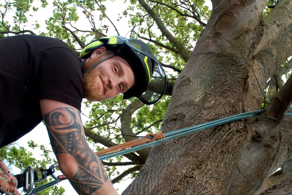Matt Hanmer looking down smiling from a tree with ropes